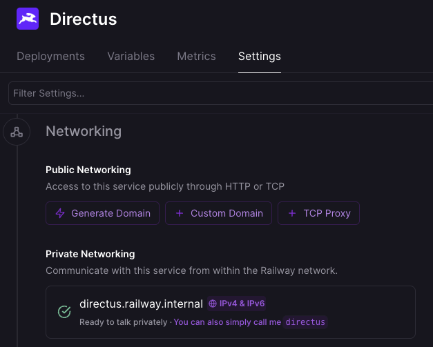 Directus service in Railway with Settings open to Networking, showing Public Networking and the generated Railway app URL.